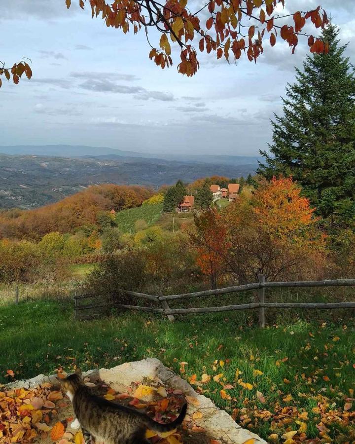 Apartmani Planinska Kuca, Jagodnja Krupanj Bagian luar foto