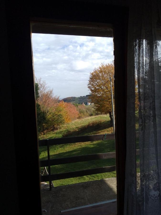 Apartmani Planinska Kuca, Jagodnja Krupanj Bagian luar foto