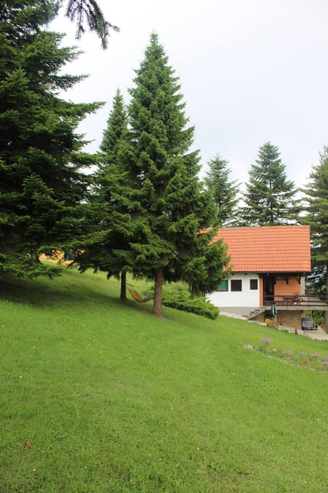 Apartmani Planinska Kuca, Jagodnja Krupanj Bagian luar foto